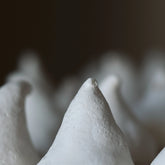Meringue Kisses